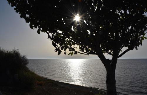 Salt and petals Downstairs - Foto 41