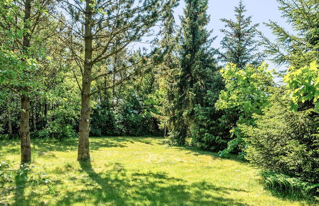 4 Person Holiday Home in Farvang-by Traum - Foto 34