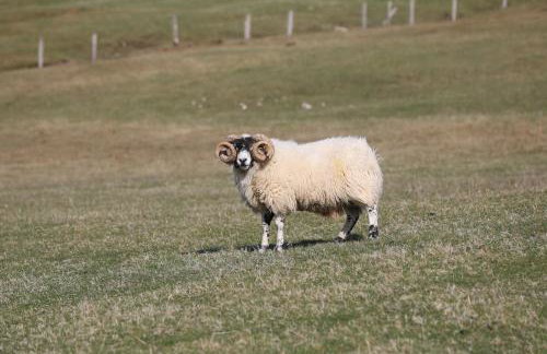 Otter Cottage - Foto 45