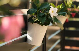 Harmony-two bedroom apartment - Foto 36