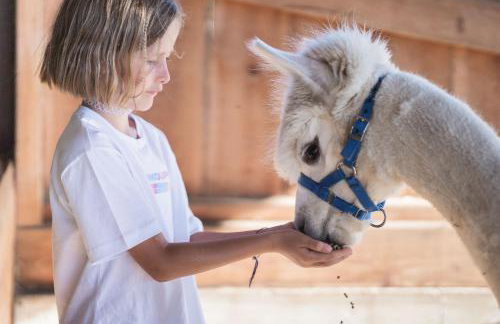 Aparthotel Familiaris - Family Apartments - Pools & Spa in Dolomites - Photo 2