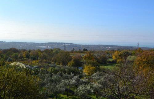 Terra del Carso - Foto 1