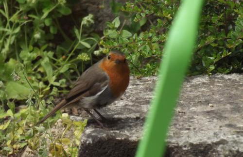 Appart'hotel Maison Saint Michel - Photo 51