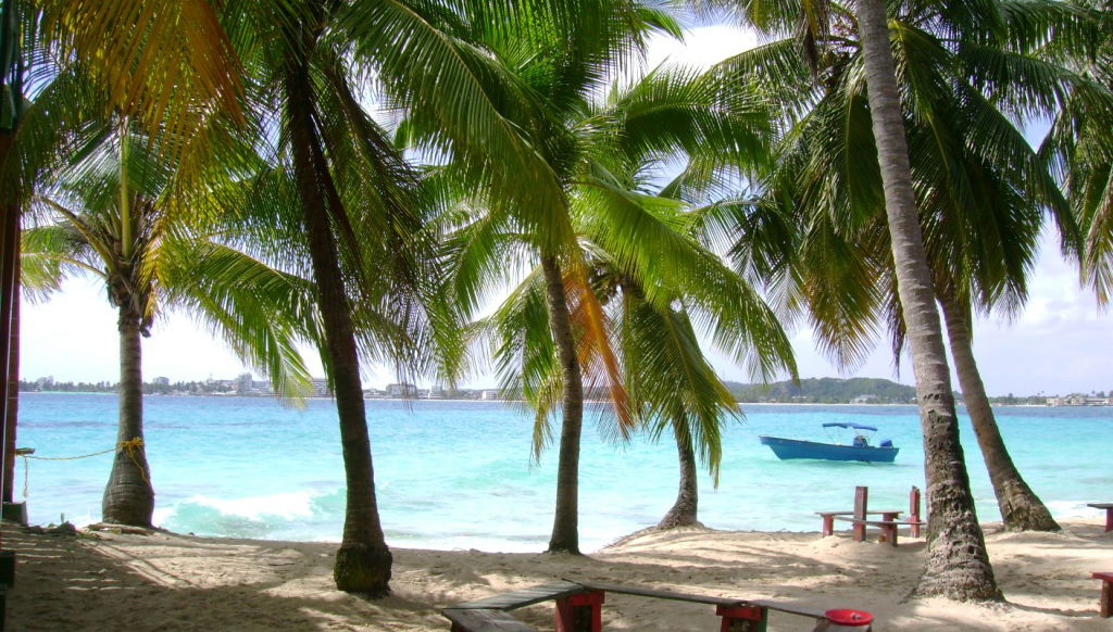 Excursion à Johnny Cay et visite à l'aquarium de San Andres - Photo 1