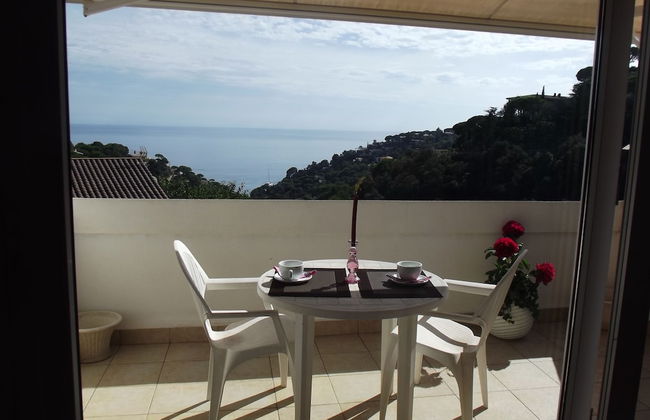 Danlux Yuta - Foto 10