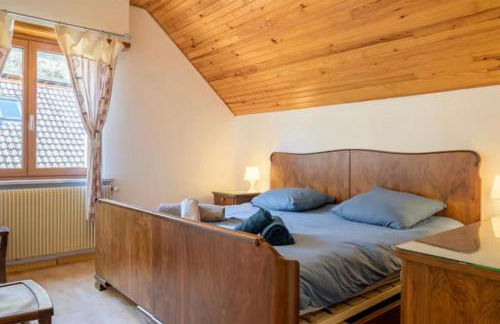 Insel Paradise - Foto 28