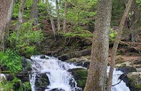 Falkenhof Meisdorf - Foto 7