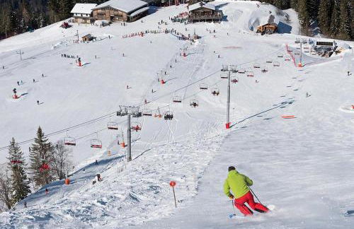 APPT 4-6 PERS 28m2 tout équipé, 30m des pistes - Foto 17