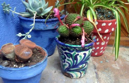 El patio azul Bohemio Mágico - Foto 49