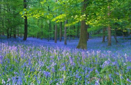 Gaer Fawr Barns - Photo 38