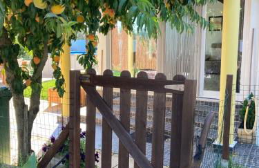 Quintinha do Zé da Lola - Foto 6