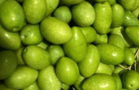 Casa Balata Farm House - Foto 8