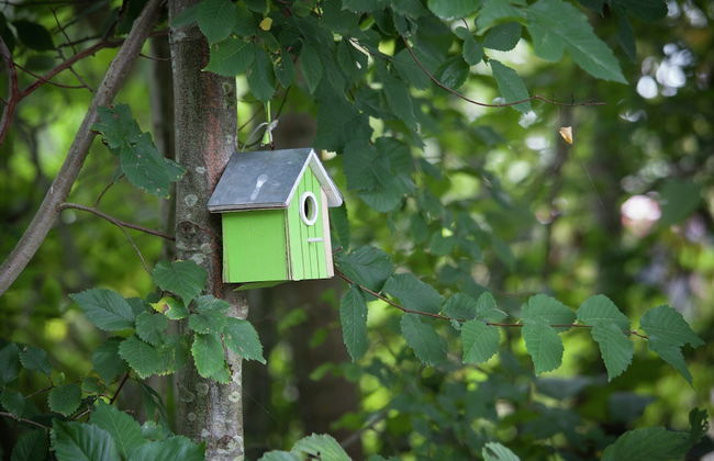 Bungalow in Nes on Ameland With Spacious Terrace - Foto 22