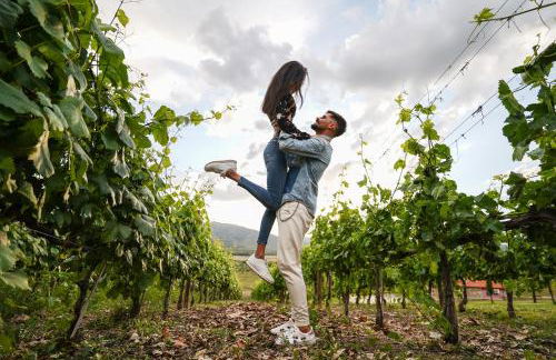 Quinta da Terrincha - Foto 8