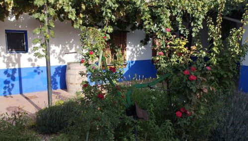 Casa (tipo) RURAL MANCHEGA - Foto 3