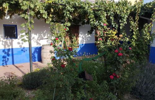 Casa (tipo) RURAL MANCHEGA - Foto 3