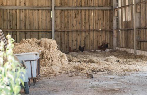 Shepherd's Cottage - Photo 19