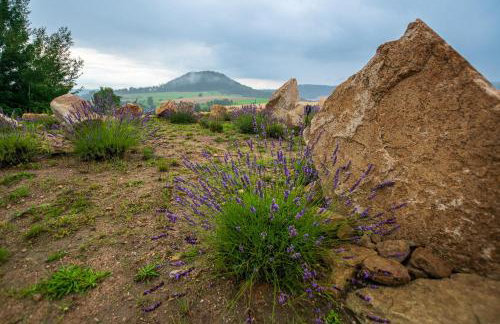 Moon Hill's Lord - Foto 15