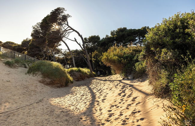Villa Vue Mer 180 - Face aux îles d’Or - Photo 45