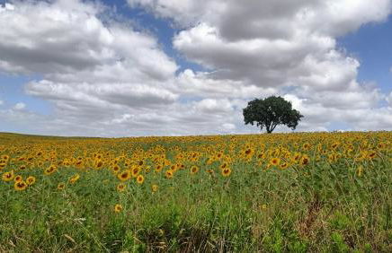 Casa Maria - Foto 15