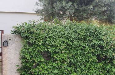 ççç Holiday Properties Le Vele ççç - Foto 44