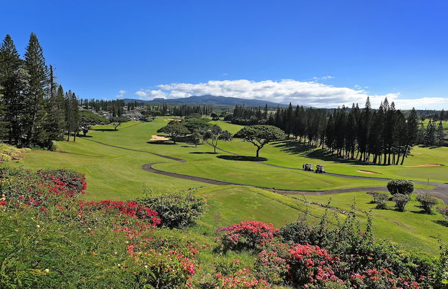 Kapalua Golf Villas 17t8 - Foto 45