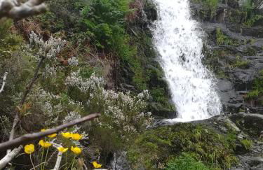 Casa do Sapateiro - Foto 36