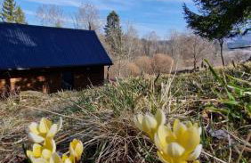 Chatka Bratka - Foto 19