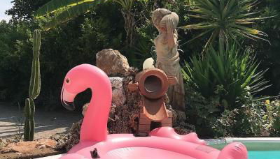 La Bouganville - Piscina e Relax - Foto 3