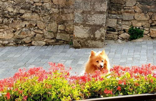 Casa Aranesa - Photo 37