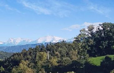 Ferienhof Broger FeWo Bergblickle mit Pool - Foto 67