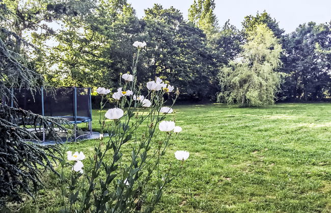 La Gicquelière - Foto 51