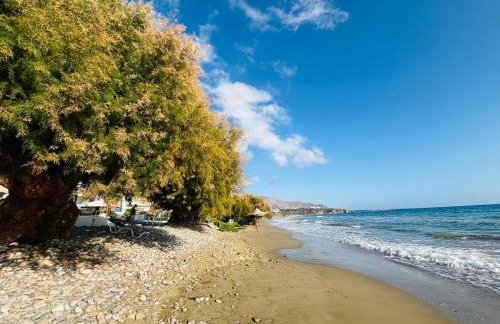 Makrigialos Long Beach Villa 5 - Foto 65