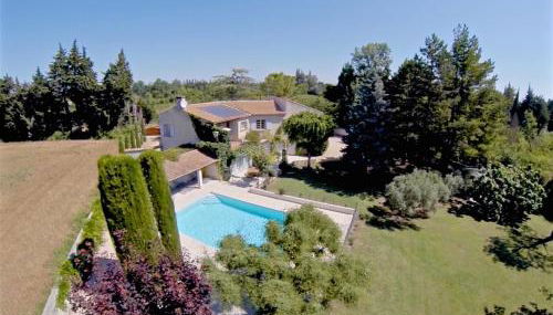 The Willow Tree - Photo 2