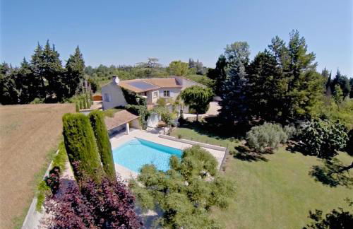 The Willow Tree - Photo 2