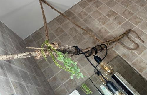 ElSoldeLola - Foto 8