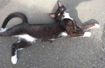 "Haus Ulla" - Foto 17