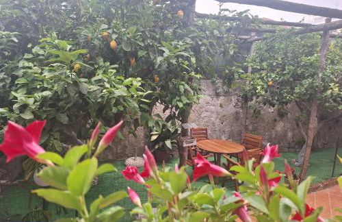 Grazia's Home - Foto 6