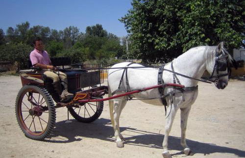 Cortijo de Frías - Foto 20