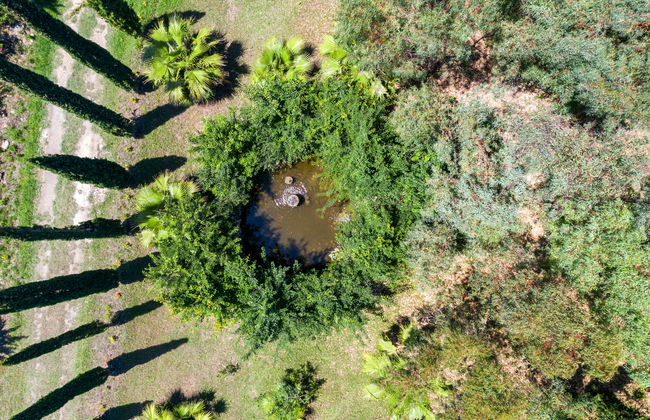 Tenuta Valente - Foto 49