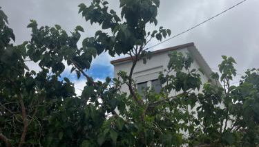 Tantulia la casita del Caballo - Foto 3, Garden