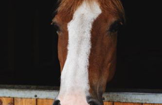 Large Country House with Hot Tub, Pool Table, and Log Burner - Photo 20