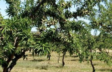 Casa da Marquinhas - Foto 68