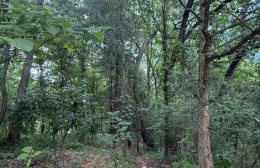 House on Nature Preserve - Foto 19