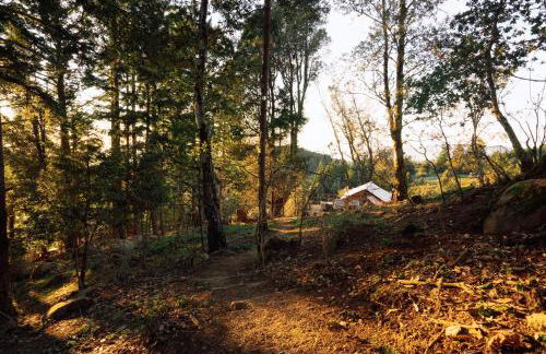 Apartment w hot tub forest & ocean view - Foto 23