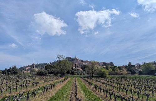 La Bergerie de Lorette - Au Cœur du Luberon - Foto 40