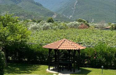 Olympus Theophilia villas - Foto 48