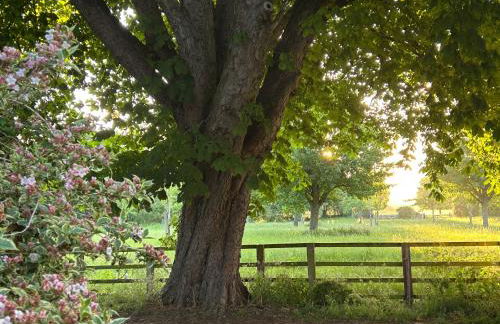 Apartment above Samantha Dadd Art Studio - in the Cotswolds - Foto 22