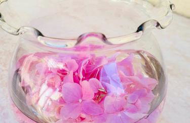 Dalmatian House, spacious stone terraces, balcony , views - Foto 53