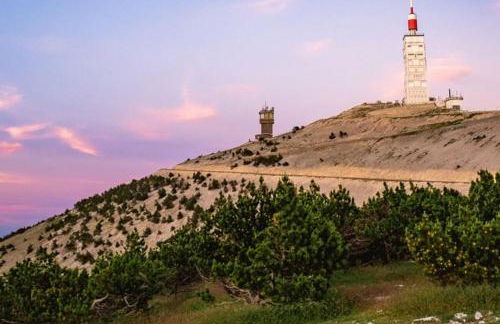 Location appartement 1 chambre plus dépendance en supplément voir descriptif dans un mas provençal au coeur du luberon - Photo 30